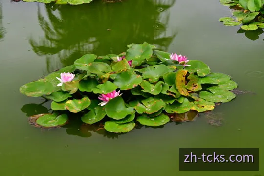 天成快三新手入门与常见疑问核算示意图